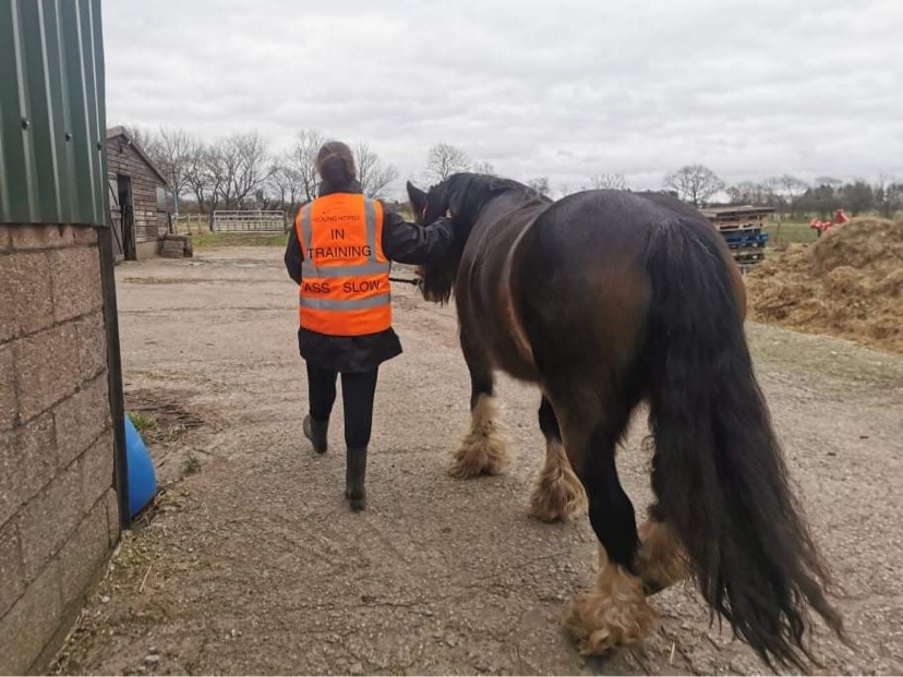 HIGH-VIZ